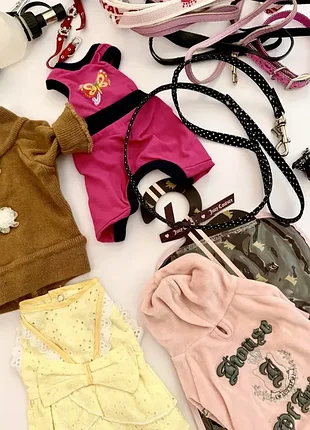 Комплект для мини собачки juicy couture 2