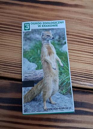 Вхідний квиток до краківського зоопарку (ogród zoologiczny w krakowie) вартістю 40,00 злотих, датований 13 липня 2024 року