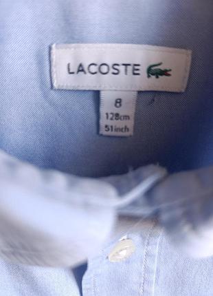 🐊рубашка lacoste оригинал 4