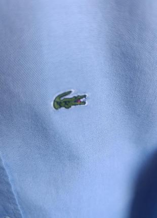 🐊рубашка lacoste оригинал 3