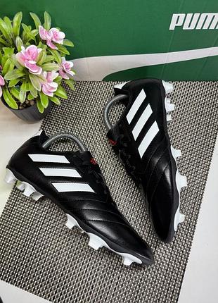 Оригинальные копки adidas 6