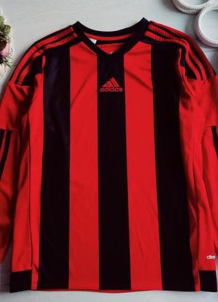 13–14 лет, рост 164 спортивный реглан adidas (адидас) артикул 28348