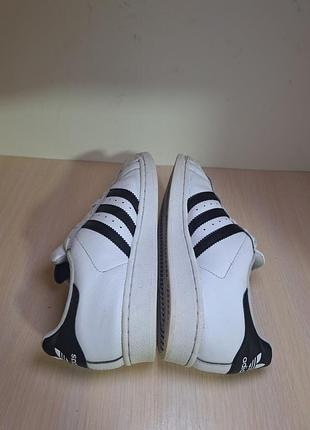 Кросівки adidas 6