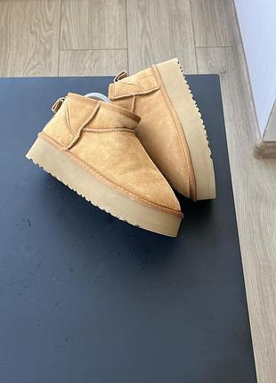 Ботинки ugg 5