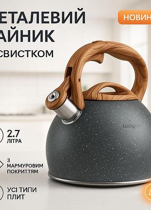 Сталевий чайник для газової і електроплити, гарний електричний чайник з одинарним дном hx-69