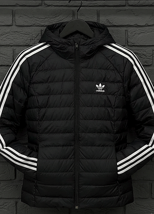 Куртка adidas+шапка adidas 6