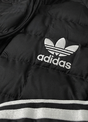 Куртка adidas+шапка adidas 8