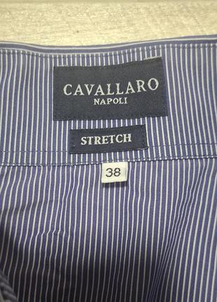 Блузка cavallaro napoli 6