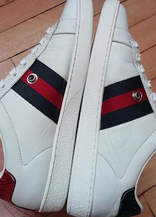 Классические кеды gucci 5