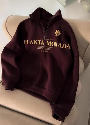 Коротка змійка planta шоколад