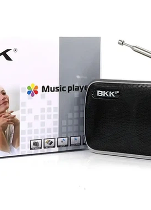 Карманный мини-радиоприемник bkk usb mp3 l088 карманный с картридером и аккумулятором с папками и sd-картой черный