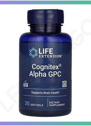 Cognitex alpha gpc 30 капсул пищевая добавка для поддержки когнитивного здоровья и памяти sku_dsn_2023-10-3222