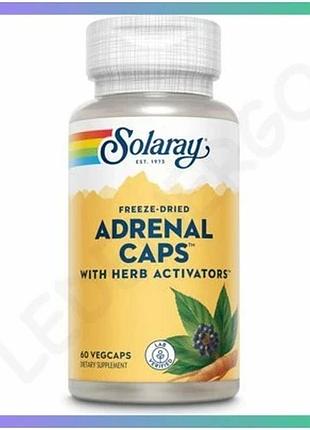 Добавка solaray adrenal 170 мг 60 капсул для поддержки энергии и стрессоустойчивости натуральные ингре sku_dsn_2022-10-1027