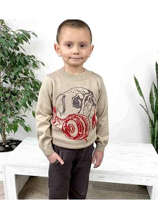 Джемпер для хлопчика мопс бежевий art knit