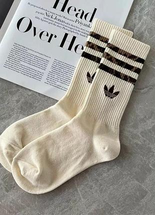 Носки adidas бежевый 40