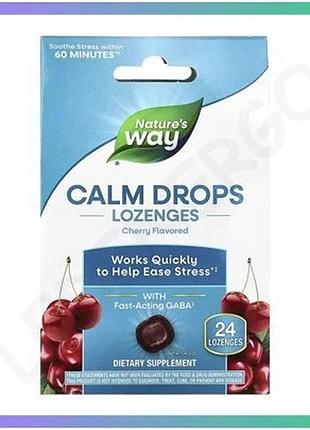 Пастилки calm drops для снятия стресса 24 леденца вишня диетическая добавка без глютена веганский прод sku_dsn_2023-10-6380