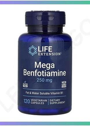 Бенфотиамин mega benfotiamine 250 мг 120 капсул для поддержания уровня сахара в крови диетическая доба sku_dsn_2023-10-3213