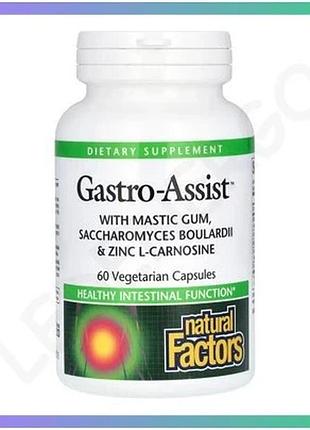 Диетическая добавка gastroassist 60 капсул для нормальной работы кишечника для веганов и вегетарианцев sku_dsn_2023-10-7615