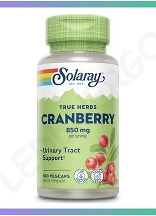 Журавлина cranberry berry 850mg 100 капсул підтримка мочевивідних шляхів веганський продукт для здоров sku_dsn_2023-10-3005