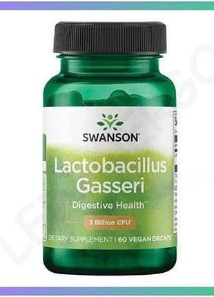 Пробиотик lactobacillus gasseri 3 миллиарда кое 60 капсул для здоровья пищеварительной системы и контр sku_dsn_2023-10-5870