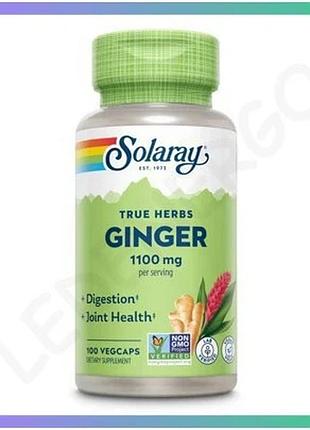 Імбирний корінь ginger root 1100mg 100 капсул для підтримки травлення і імунітету натуральна добавка sku_dsn_2023-10-3010