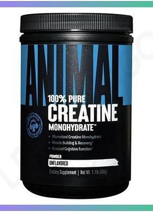 Креатин моногидрат universal nutrition animal micronized creatine 500 грамм для набора мышечной массы sku_fitsh_cn15228