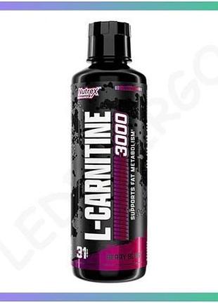 Жидкий l-карнитин liquid l-carnitine 3000 480 мл ягода для энергии и выносливости спортивное питание sku_dsn_2022-10-0418