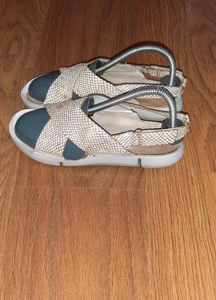 Босоніжки жіночі сріблясті clarks