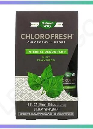 Хлорофіл chlorofresh mint 40x рідкий 59 мл внутрішній дезодорант для дорослих і дітей натуральний засі sku_dsn_2023-10-3874