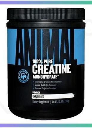 Креатин моногидрат universal nutrition animal micronized creatine 300 г порошок для увеличения мышечно sku_fitsh_cn14100
