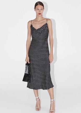 Сукня в горох zara