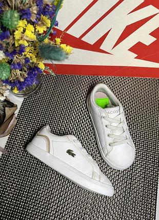 Кроссовки lacoste