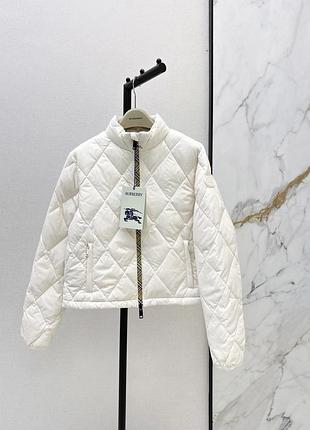 Жіноча куртка burberry женская
