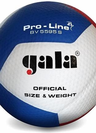 М'яч волейбольний gala pro-line 12 fivb bv5595s
