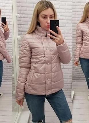 Куртка 211 пудра