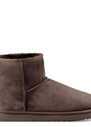 Шоколадні уги ugg classic mini chocolate х угг міні 37