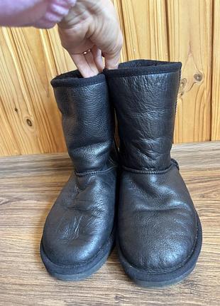 Уггі оригінал ugg 6