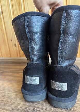 Уггі оригінал ugg 8