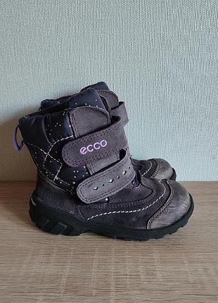 Зимние кожаные ботинки на девочку ecco gore-tex 23-24р. 15 см.