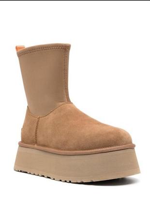 Ugg dipper 40