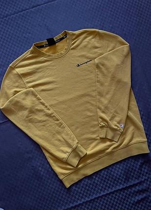 Champion m size