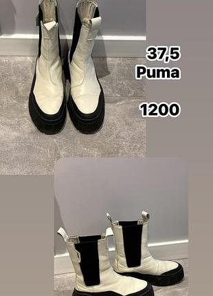 Челсі puma