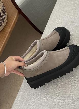 Жіночі ugg 8