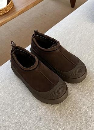 Жіночі ugg 5