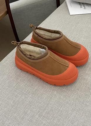 Жіночі ugg 4