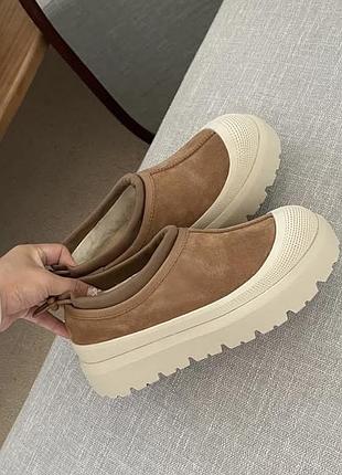 Жіночі ugg