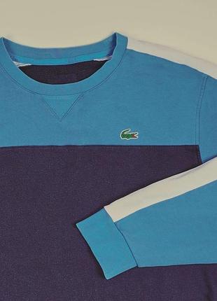 Світшот lacoste 4