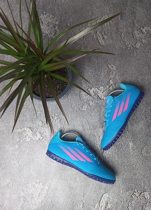 Сороконіжки adidas