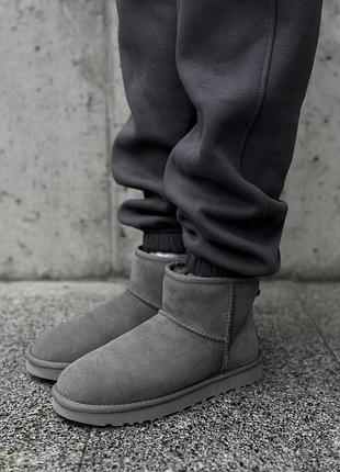 Сервые замшевые угги ugg mini bailey bow ii grey х угг мини 39 2