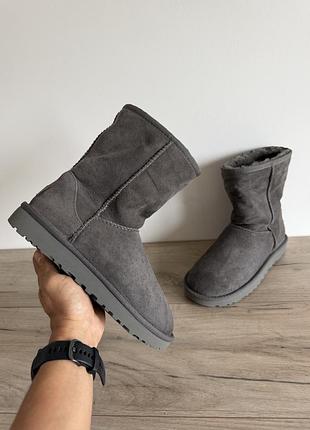 Черевики зимові угі ugg оригінал